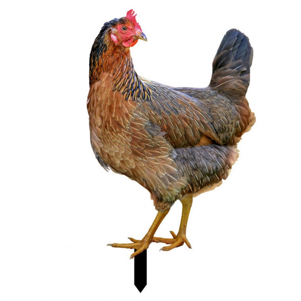 Ornamental Eco-friendly Rooster Decor Garden Statue Chicken for Garden
