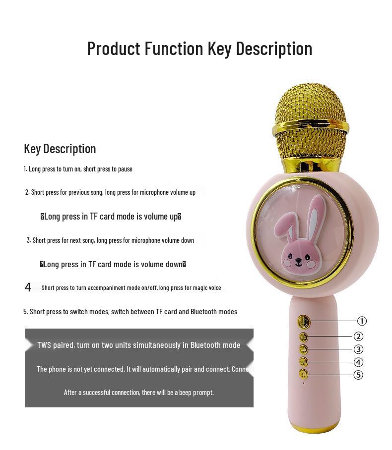All-in-One Wireless Karaoke Bluetooth Speaker & Microphone for Children's Home Use