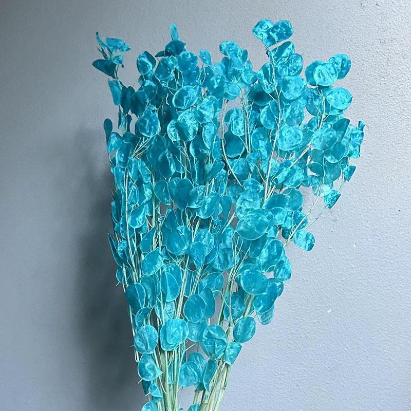 Silver Fan Dried Flower, White Flower Diy Home Decoration Bouquet, Natural Real Flower, Silver Fan Dried Flower, Immortal Flower