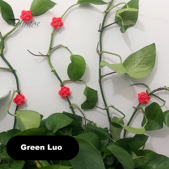 10Pcs Plant Climbing Wall Fixture Clip Self-Adhesive Climbing Vine Fixing Hook Traction Tool Wall Hanging Plant Support Clamp