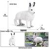 Kids' Arctic Animal Model Set: Polar Bear, Arctic Hare, Reindeer & Beluga Whale