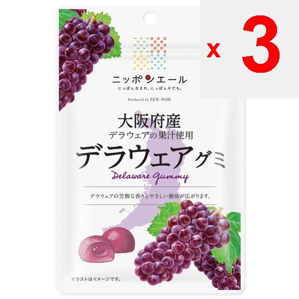 JA Nippon Ale Osaka Delaware Gummi 40gNippon Ale Brand with the Catchphrase Nippon-born, Nippon-sod Nippon Ale Brand with the Catchphrase Nippon-born,