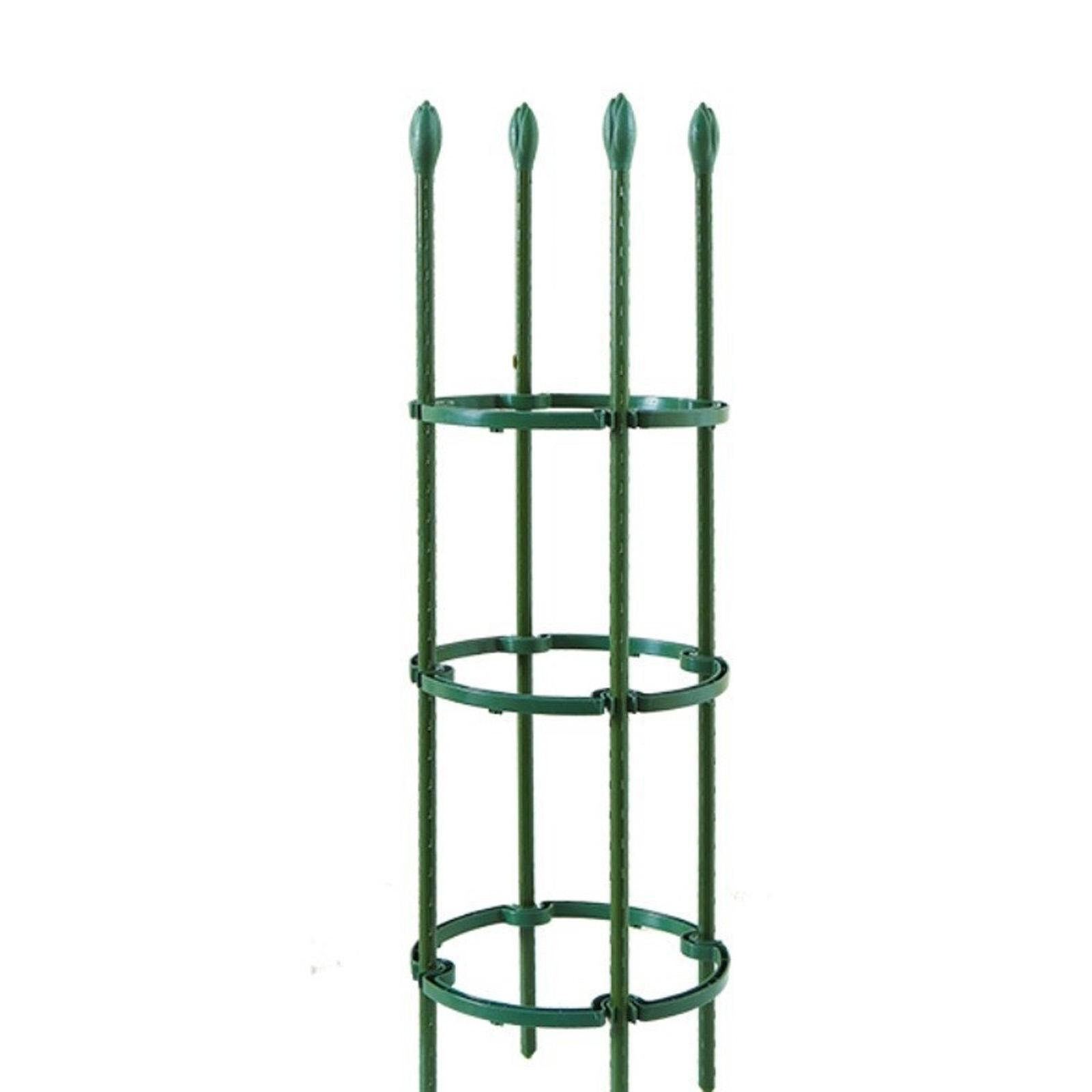 

Садовая питайя, Плетистая роза, Зеленый плющ, Плетистое, Стальная труба с пластиковым покрытием, Опора для цветов, Роза в горшке one size