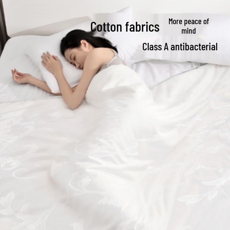 Jingdong Zhizao 100% Mulberry Silk Quilt