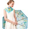Aurora Midsummer Night's Dream Silk Scarf & Art Umbrella Set