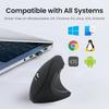 2.4G Vertikální Bezdrátová Bluetooth 5.0 Myš Ergonomická Dobíjecí Myš RGB 1600 DPI Tichá Myš pro PC Laptop Stolní počítač