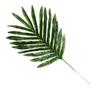 12Pcs Artificial Leaves Plastic Faux Cycad Leaves Dining Table Decor Fake Cycad