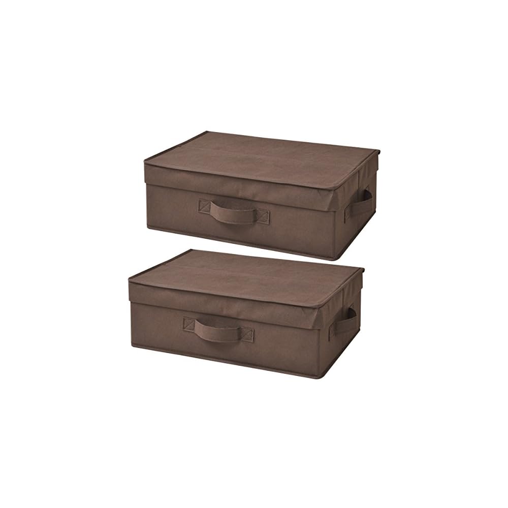 YAMAZEN Anywhere Storage Box, Shallow Type, with Lid, Set of 2, Brown YTCF-2PAFBR