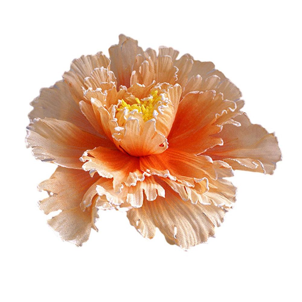 Peony Flower Flower Head Diameter Space Image Website