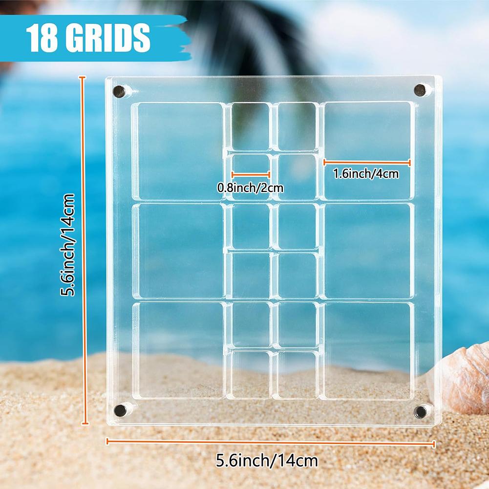 Acrylic Magnetic Seashell Display Box Large Size Seashell Storage Box Multipurpose Small Craft Organisers
