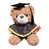 Personalized Graduation Bear Doll 2026 for Her, Soft Plush Teddy with Embroidered Gown, Class of 2026 Graduation Gifts for College High School