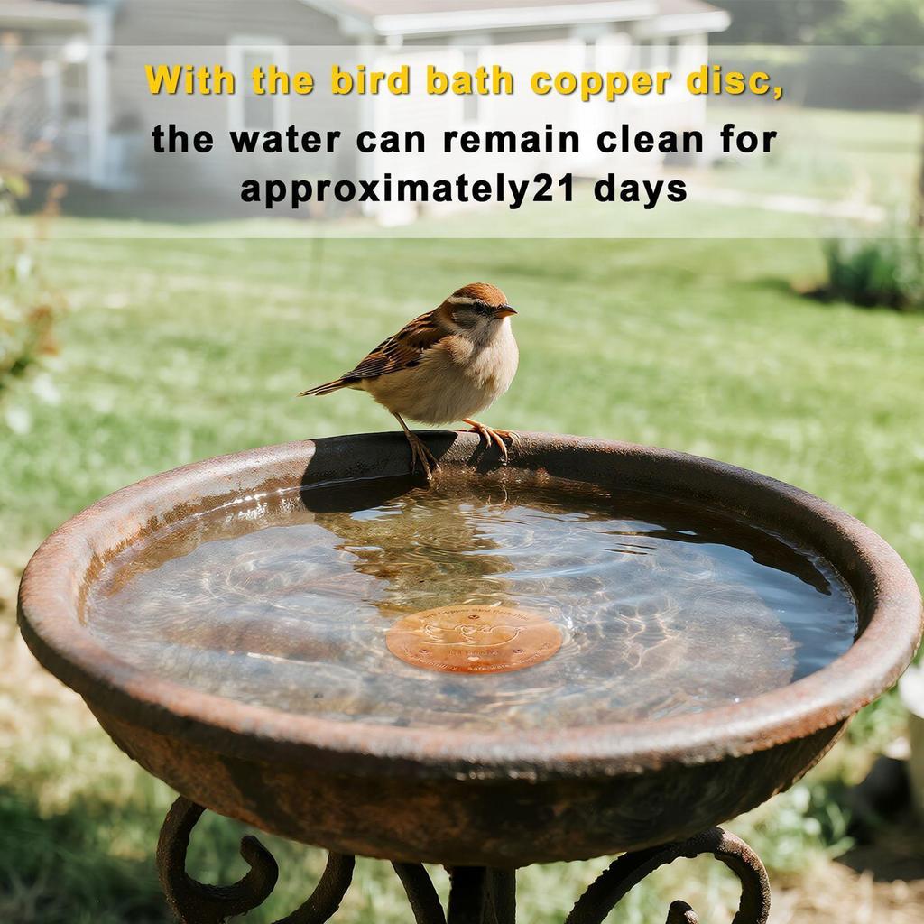 2pcs Copper Bird Bath Cleaning Disk, 0.6mm Pure Copper with Triple-Point Support, Universal Fit for Outdoor Birdbaths