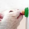 1-5 pcs Cat candy licked, improve digestion, cat snacks