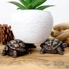 3 Pezzi Piedini per Vasi da Fiori Supporto Forma Animale Gatto Cane Coniglio Alzate per Vasi da Pianta Pad Giardino Esterno Piedino per Vaso in Resina Supporti per Piante Bonsai