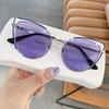 Retro Cat-Eye Sunglasses - 2024 Korean Style for Women, Trendy Personality Street Fashion Accessories