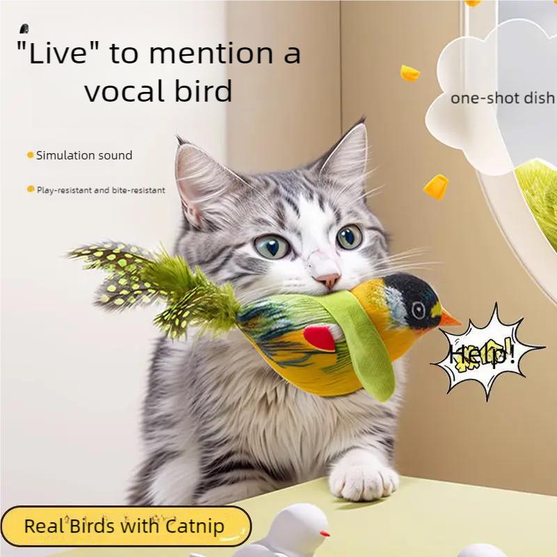Cat Teaser Toy Interactive Imitation Bird Squeaky Catnip Kitten Toy Hanging Door Cat Feather Toy Accessories