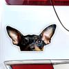 Miniature Pinscher Vinyl Sticker, 15x8cm Waterproof Decal for Car Motorcycle Decor