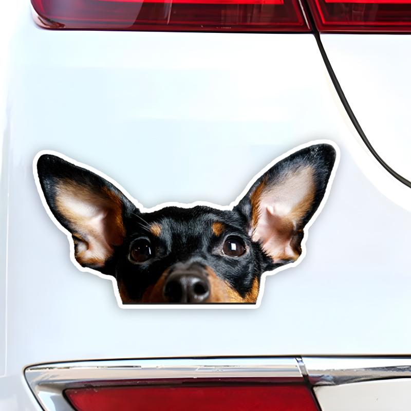 Miniature Pinscher Vinyl Sticker, 15x8cm Waterproof Decal for Car Motorcycle Decor