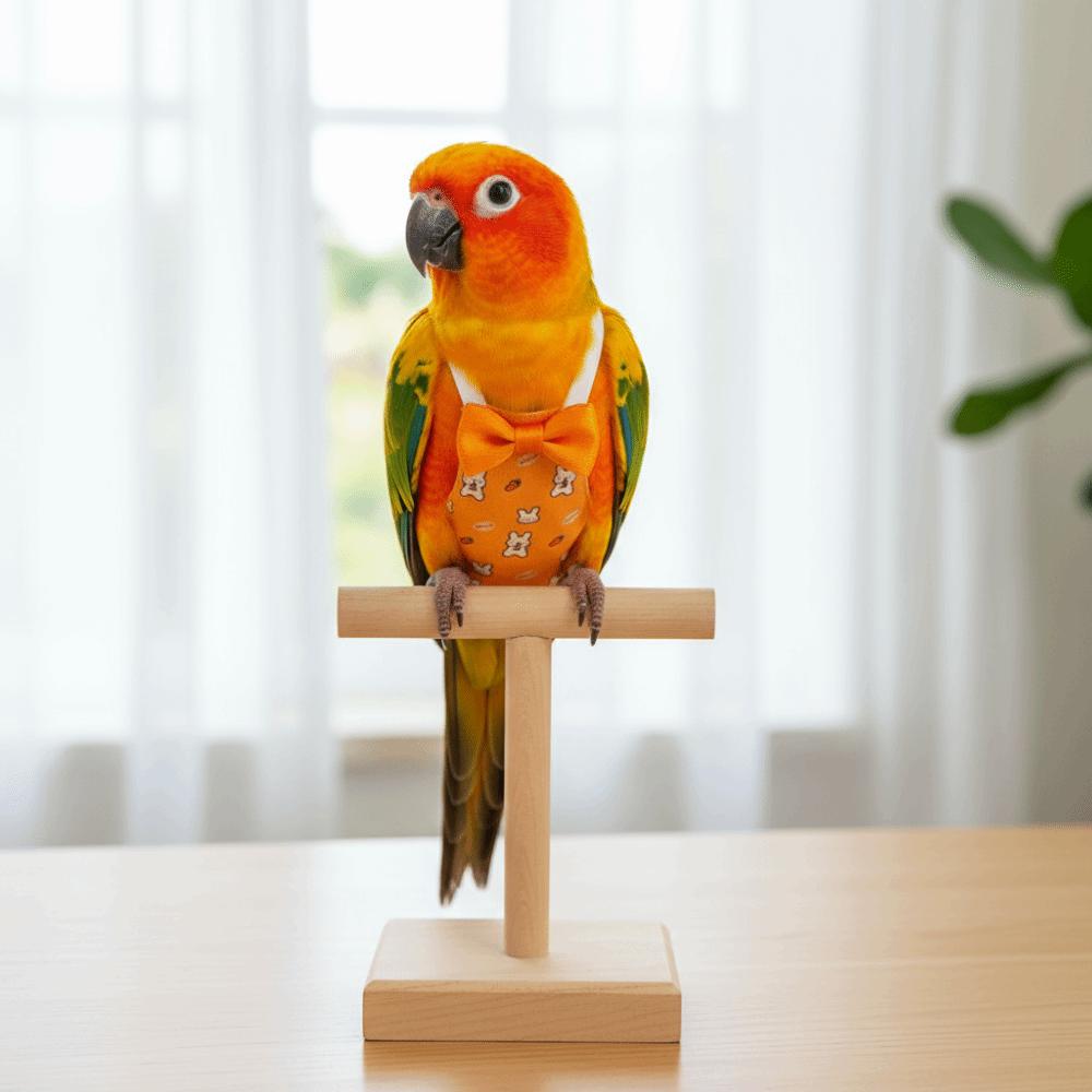 Bowtie Pet Parrot Diaper Adjustable Bird Flight Suits Washable Parrot Flying Clothes  Travel