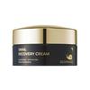 Snail Recovery Cream Repairing & Hydrating Face Moisturizer 100g