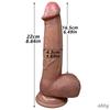 Dildo Anale Realistico Curvo 8,66 Pollici/22 cm Giocattolo Sessuale in Silicone con Potente Ventosa Realistico Punto G Mani Libere Pene Morbido per Donne