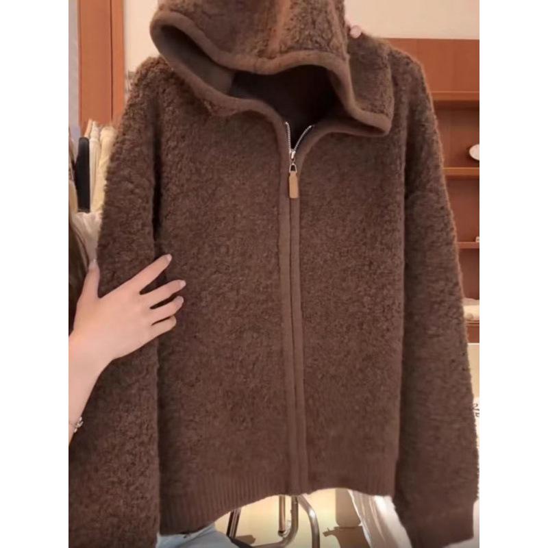 Korean Style Thick Faux Raccoon Lambswool Zipper Hooded Jacket - Women's Versatile Autumn/Winter Sweater Cardigan