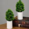 Yousheng Night Light Pine Cypress Tree Simulation Lamp Battery Operated Desk Night Light for Bedroom Home Decoration Energy Saving Green Plant Gifts