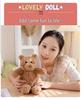Adorable Barcelona Bear Plush Toy - Huggable Comfort Doll for Kids