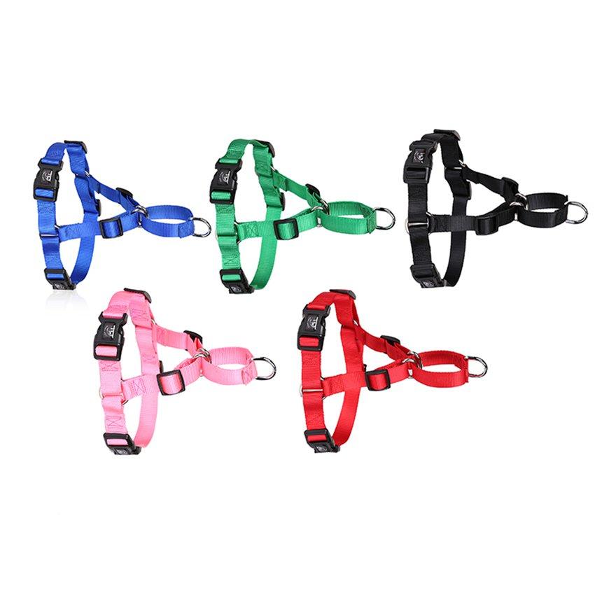 dollar tree dog harness