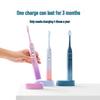 FLYCO FT7105 Sonic Electric Toothbrush with Soft Bristles