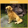 Resin Sitting Golden Retriever Animal Figurine Garden Decor Gift For Housewarming And Parties