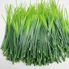 Lifelike Artificial Grass Plants Perfect for Aquariums, Thanksgiving St. Patrick's Day Decor, Outdoor Patio Tables No Container Included, Rehabilitati
