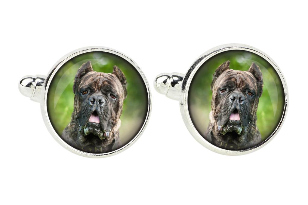 Cane Corso, Italian Cane Corso - cufflinks and tie with your photo, a suit decoration, men's jewelry from the Art-Dog brand.