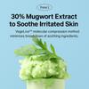 Beauty of Joseon Silky Mugwort Sun Stick (18g)