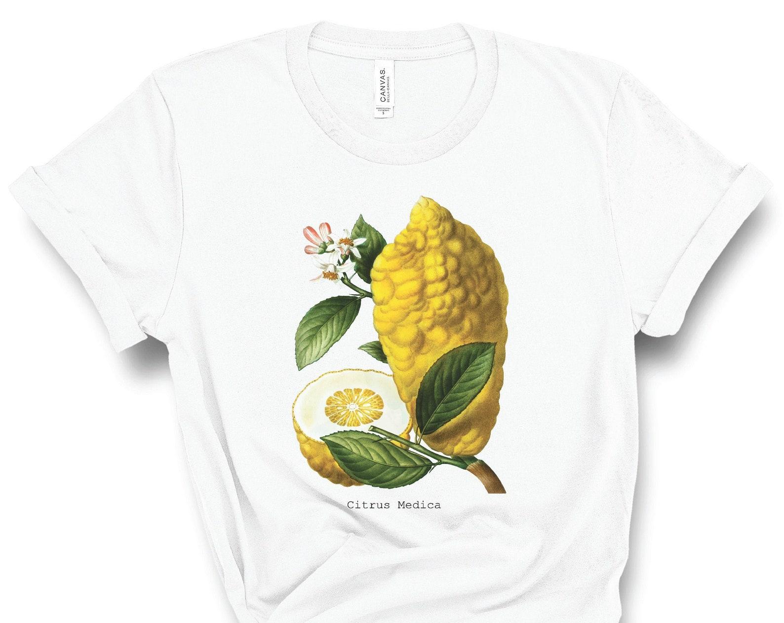 Lemon Illustration T-Shirt, Botanical Illustration, Lemon T-Shirt, Lemon Art, Fruit T-Shirt, Vegan T-Shirt, Citrus Limon, Vintage, Plus Size S