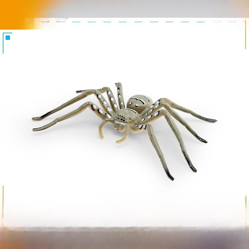Realistic Insect Spider Scorpion Ant Animal Models For Kids Educational Play Pvc Decor Educational Gift