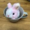 Cute Sales MOU MOU Rabbit Stuffed Toy, SS, Pink, F0329