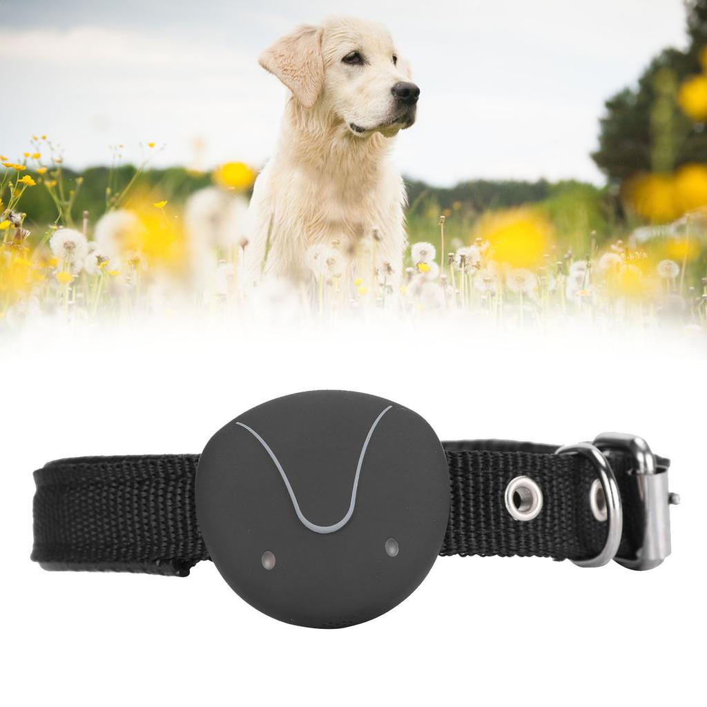 GPS Konumlandırma Köpek Tasması Kablosuz Çit Ayarlanabilir Elektrikli İzleme Tasması AntiLost(F9 )