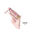 Accesorii – Umbrele