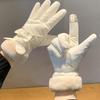 Warme Dicke Handschuhe für Damen für Fahrradfahren Wandern Skihandschuhe Winter Skifahren Thermohandschuhe Touchscreens Winterhandschuh