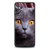 Britische Kurzhaarkatze Fall für Samsung A24 A12 A14 A32 A50 A70 A20E A20S A10 A10S A22 A30 A40 A34 A54 A42 A52 5G A04s A72 Abdeckung