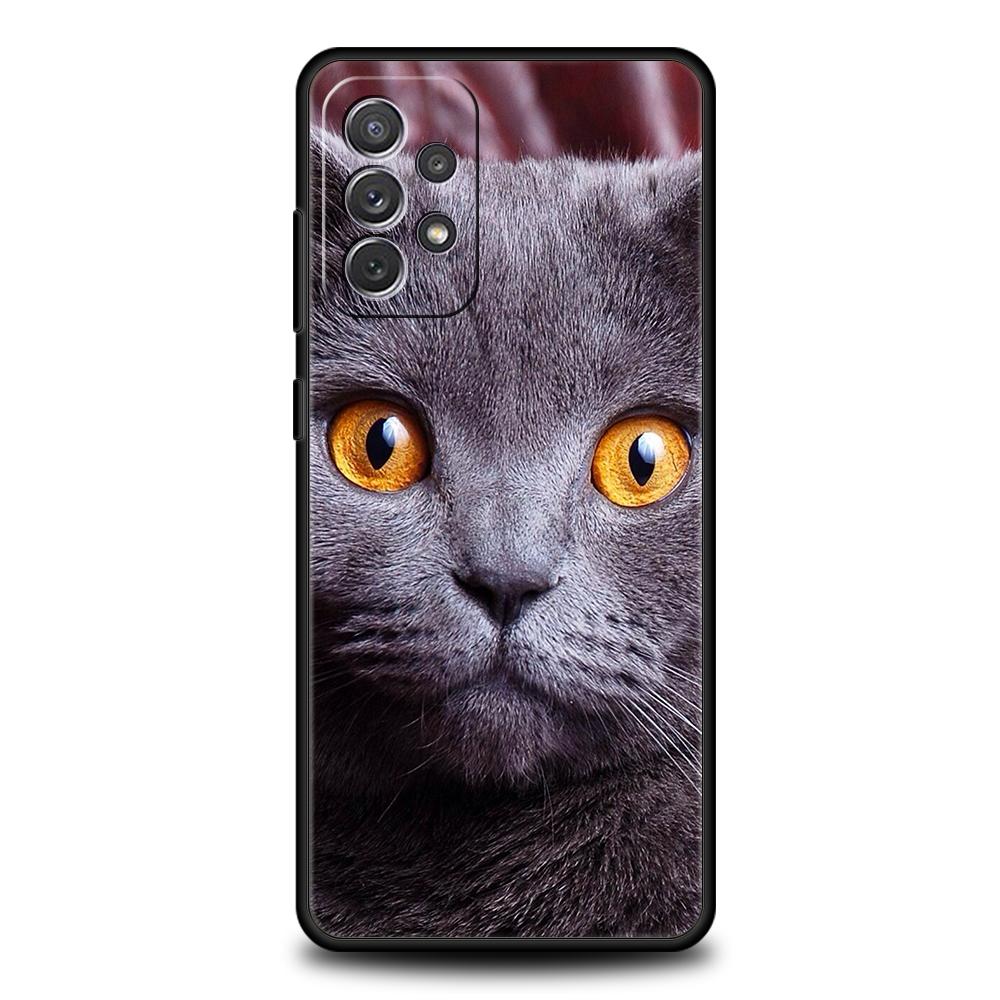 Britische Kurzhaarkatze Fall für Samsung A24 A12 A14 A32 A50 A70 A20E A20S A10 A10S A22 A30 A40 A34 A54 A42 A52 5G A04s A72 Abdeckung