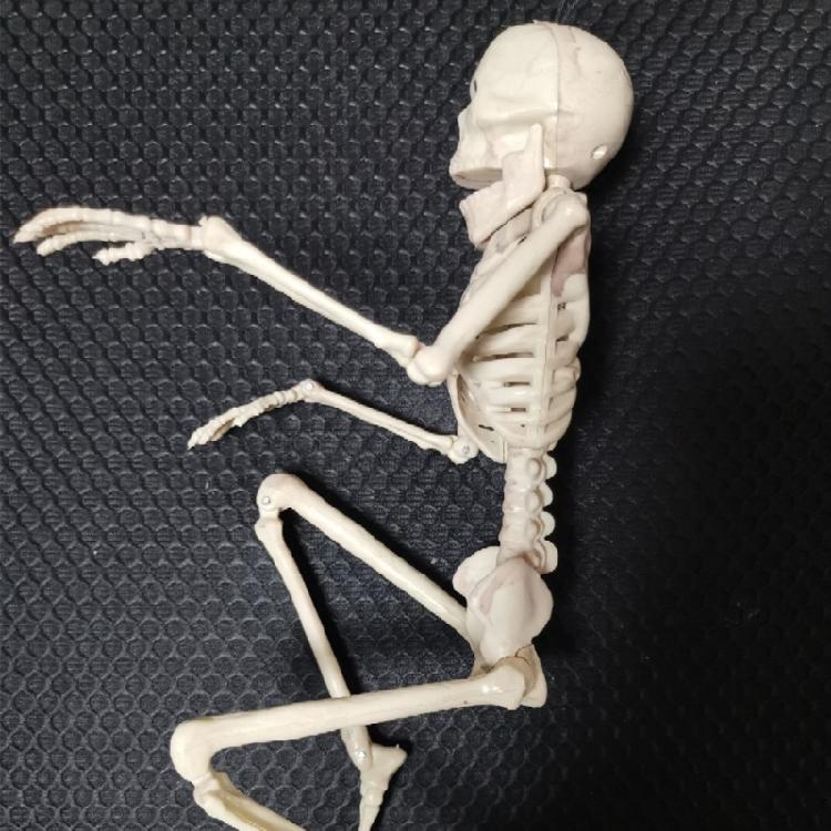 Full Body Mini Skeleton Spooky Plastic Skeleton for Yard Garden Lawn Haunted