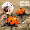 Running Seven-star Ladybug Simulation Beetle Winding Chain Unzipping Children's Wind-up Toy
