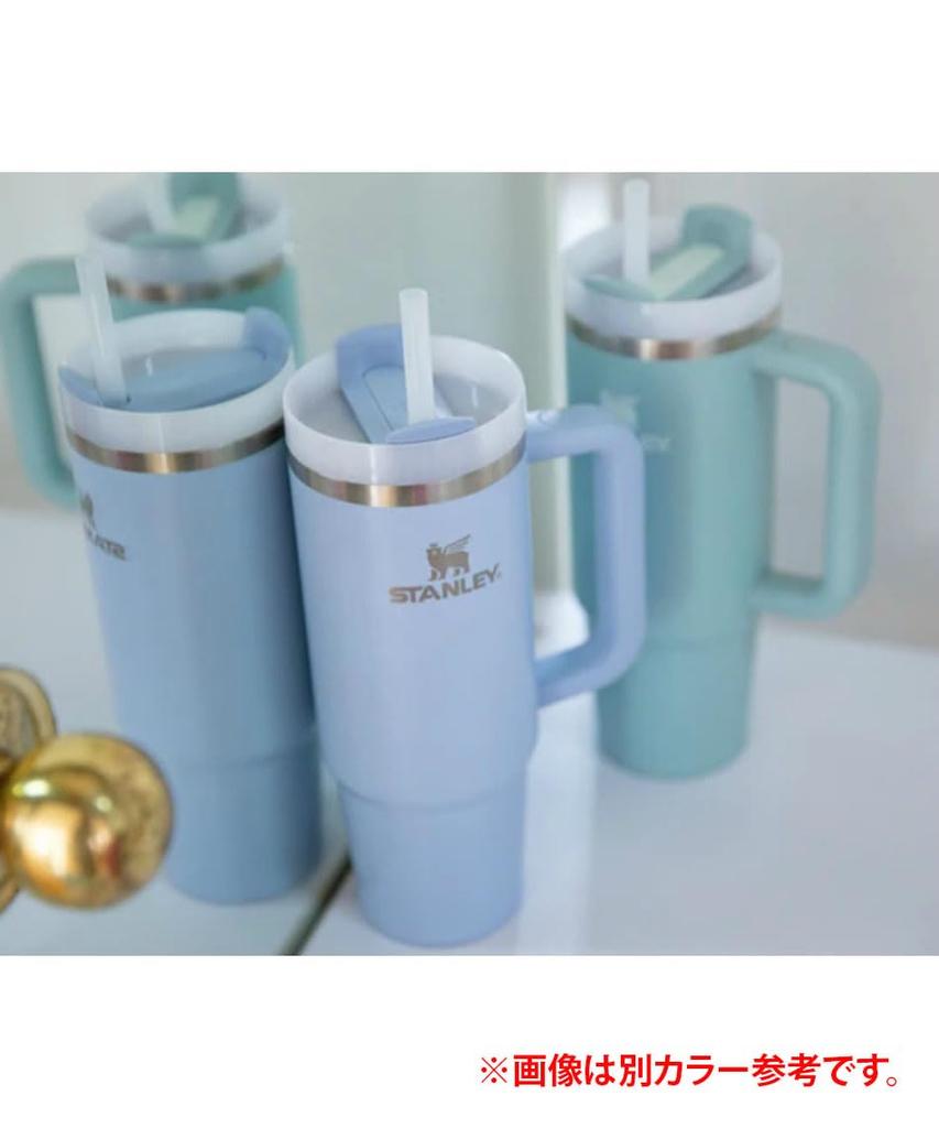 STANLEY Wasserflasche Becher Vakuum Slim Quencher H2.0 0,88L 10-10827-525 (Lavendel/FF)