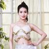 Belly Dance Costume for Women Belly Dancing Coins Bra Tops Sequins Fringes Tassels Halter Tops for Stage Performances