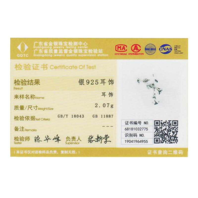 Lindon 925 Sterling Silver Zircon Earrings Drop Earrings For Women Wedding Party Gifts