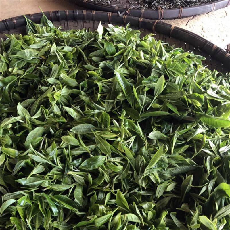 Yunnan Menghai Spring Puerh Tea Cake 357g Raw Green Tea Wellness
