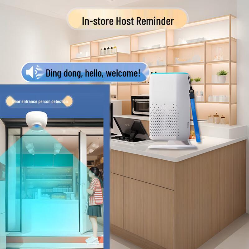 SNQP Split Motion Sensor Entry Chime System (CN version)