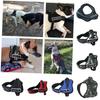 Premium Quality Pet Chest Harness And Leash For Medium To Large Dogs Adjustable Durable And Stylish